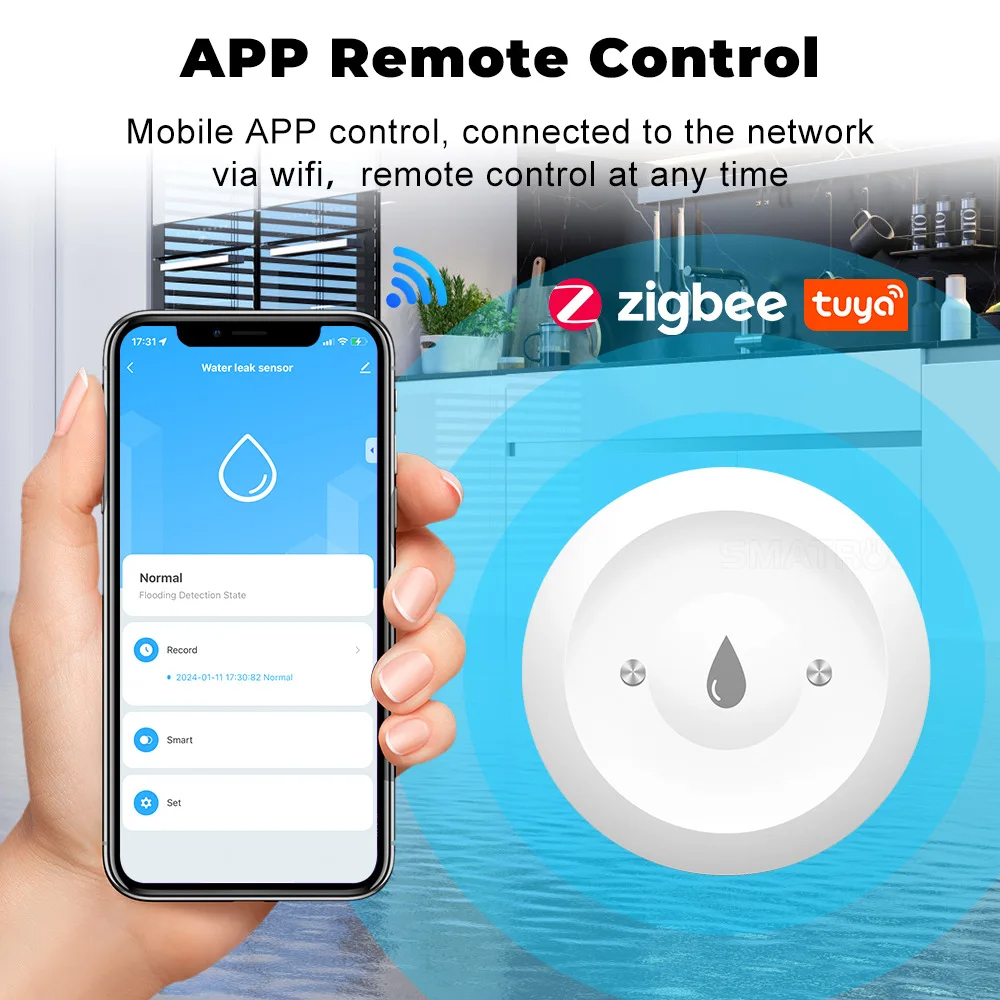 Tuya ZigBee Smart Water Immers - огляд і ціна Wifi Water Leak Detector