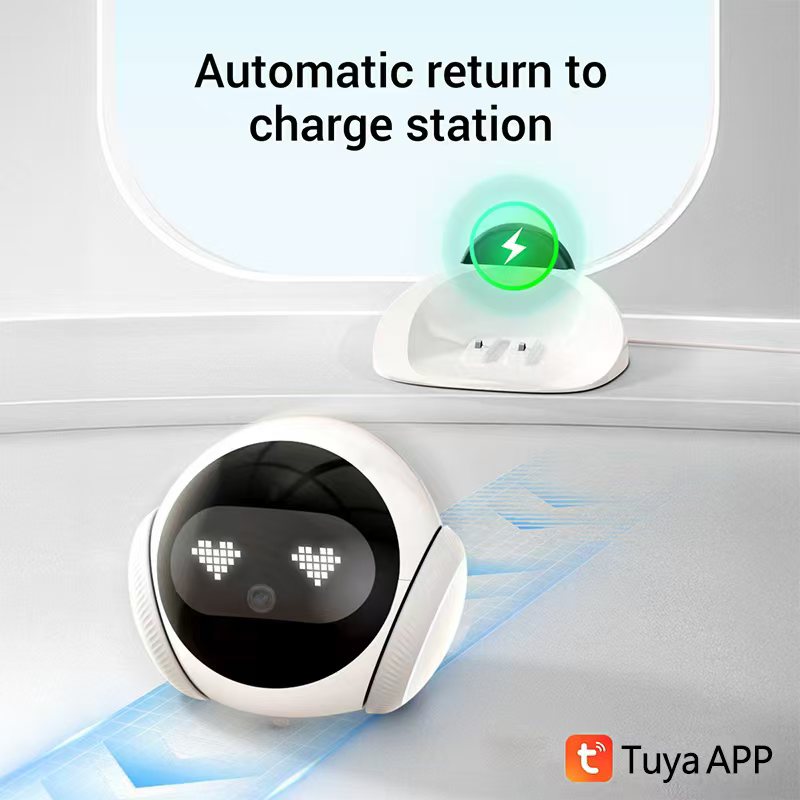 Smart Electronic Pet Companion - огляд і ціна Smart Elderly Home